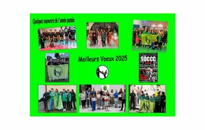 Meilleurs Voeux 2025